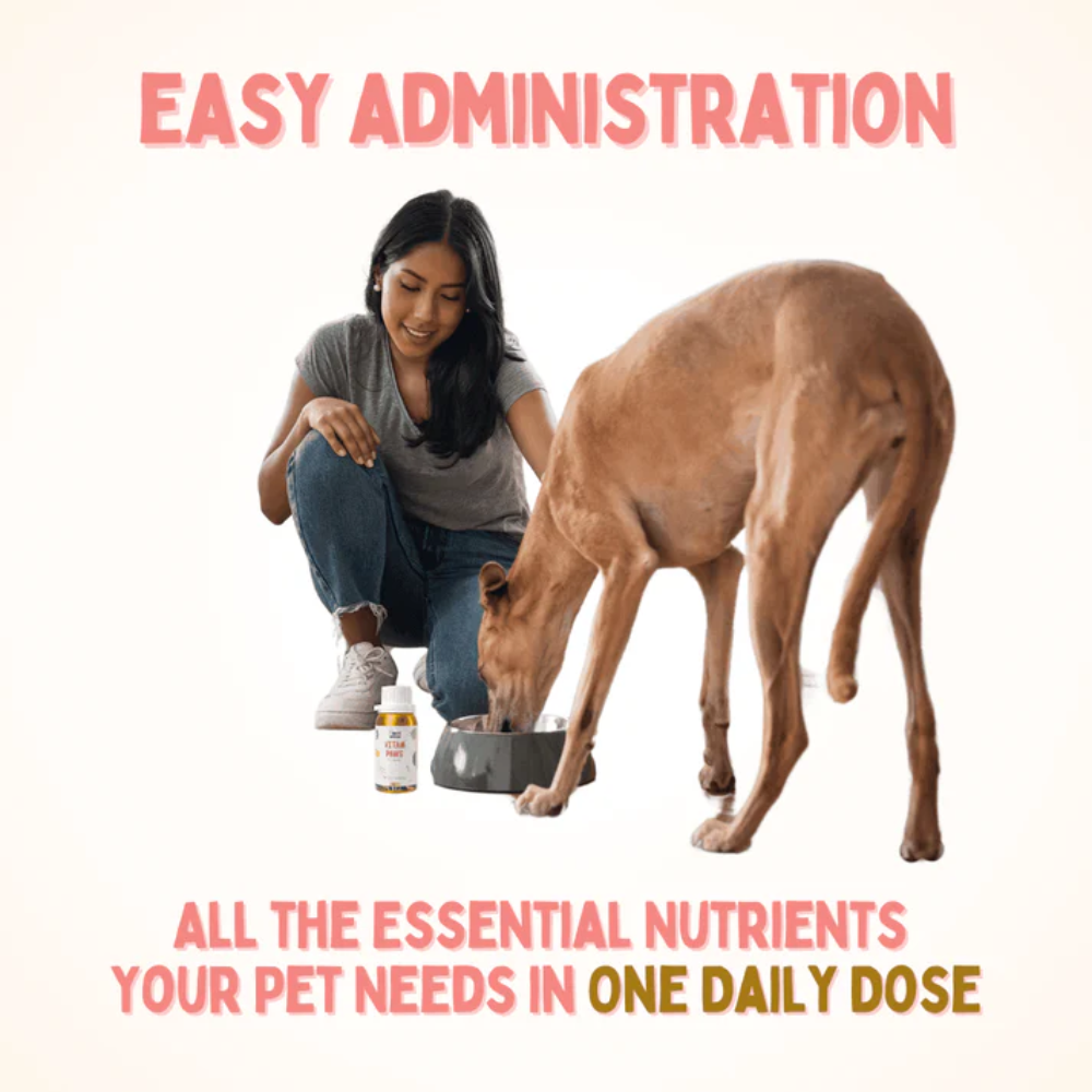 Unleash Wellness Vitam Paws Multivitamin Supplement for Dogs and Cats Both-Health & Wellness Unleash Wellness Dropship
