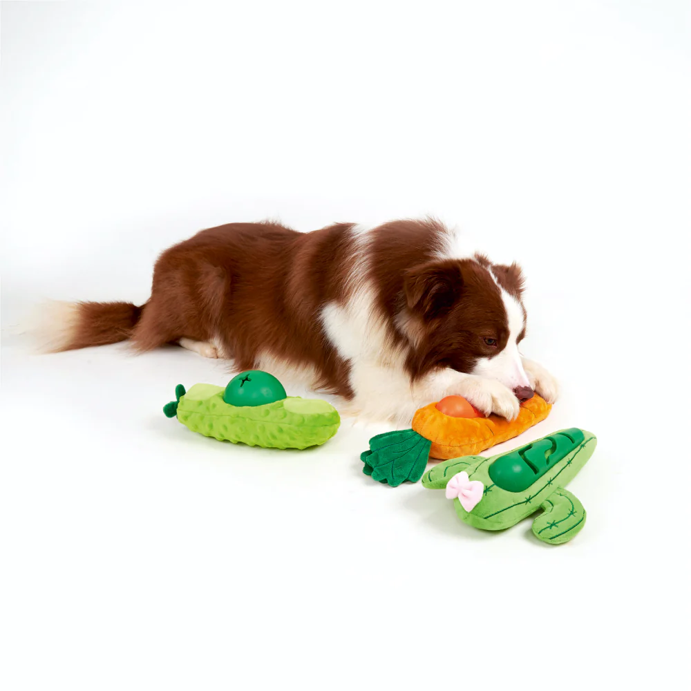Fofos Avocado Treat Toy for Dogs | For Medium Chewers