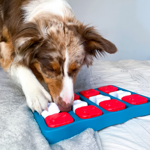 Outward Hound Nina Ottosson Brick Game for Dogs (Blue Level 2 Intermediate) | For Medium Chewers