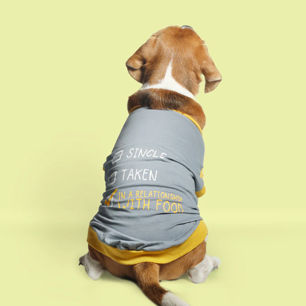 Pet Set Go Single Taken In Relationship Sleeveless Tshirt for Dogs (Grey)