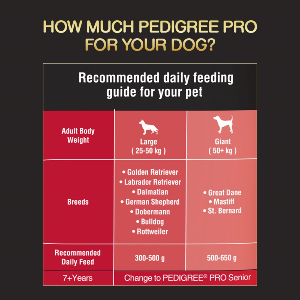 Pedigree PRO Expert Nutrition Active Large Breed Dry and Chicken and Liver Chunks in Gravy Adult Wet Dog Food Combo