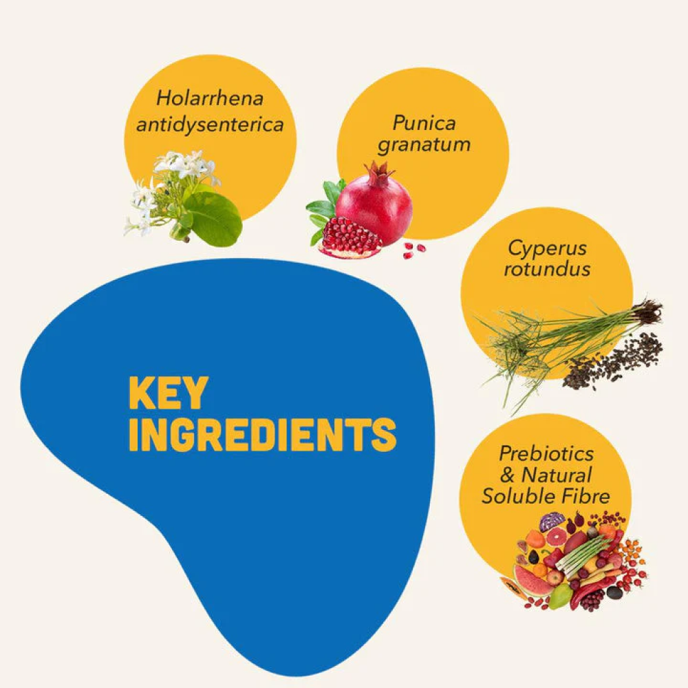 Natural Remedies Natgut Digestive Tablets & Fresh Me Up Bloom Dry Shampoo Dogs & Cats Combo Exclusive Combo Natural Remedies