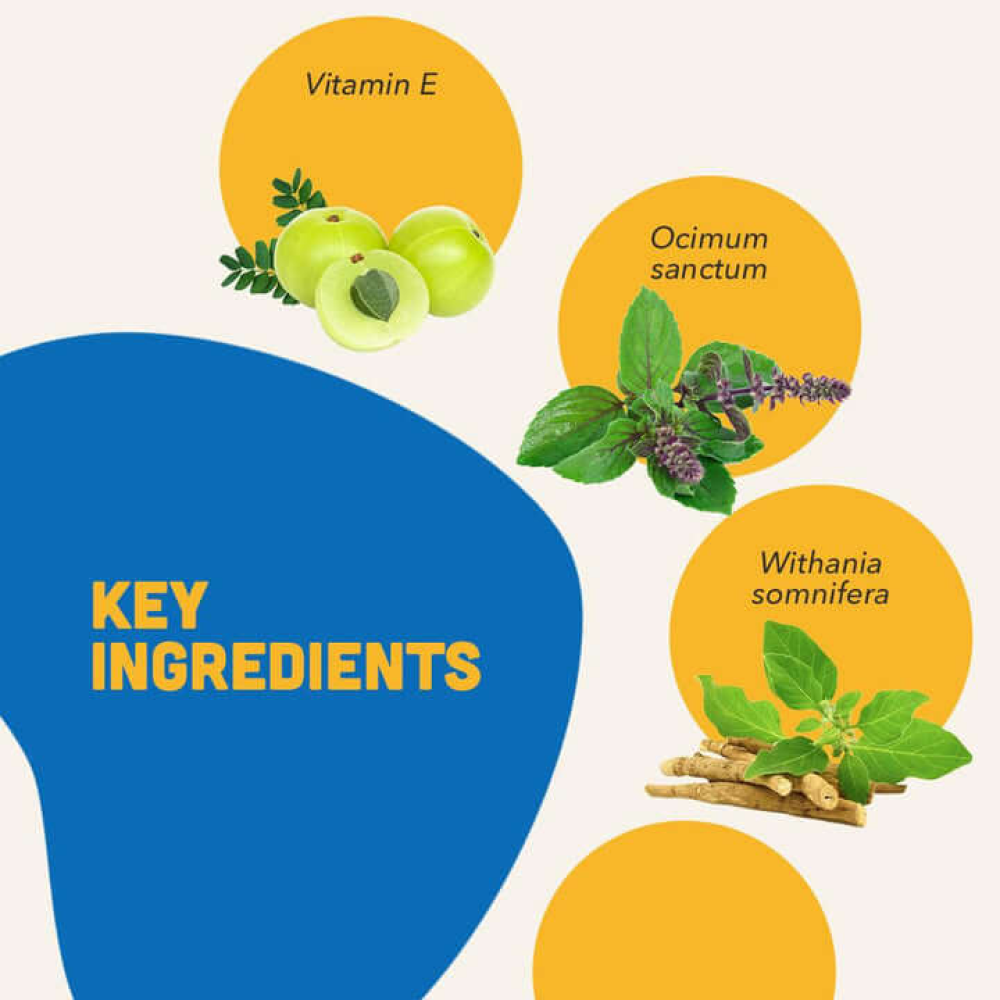 Natural Remedies Natlife Energy & Immunity Supplement Paste for Dogs and Cats Both-Health & Wellness Natural Remedies