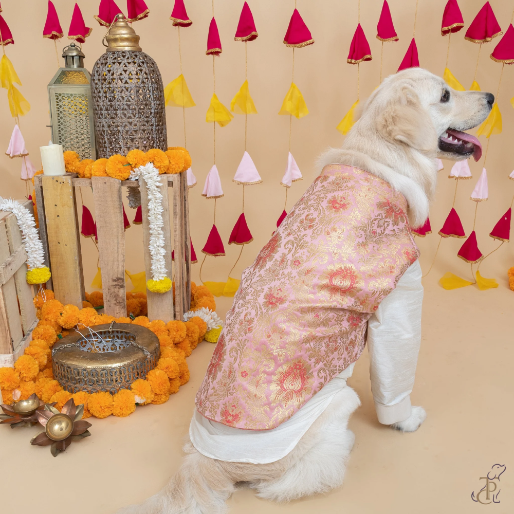 The Papaw Cartel Brocade Koti Kurta for Dog (Peach/Pink & Gold) Dogs-Clothing & Accessories The Papaw Cartel Dropship XL