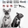 Tickless Ultrasonic Tick and Flea Repeller Pendant for Dogs and Cats (Orange) Both-Collar, Leashes, harnesses ‎Tickless