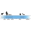 Tickless Ultrasonic Tick and Flea Repeller Pendant for Dogs and Cats (Orange) Both-Collar, Leashes, harnesses ‎Tickless