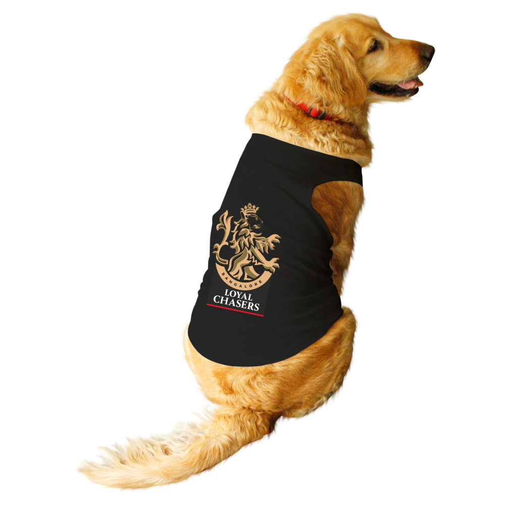 Ruse IPL "Loyal Chasers Bangalore" Printed Tank Jersey for Dogs (Black)