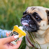 Basil Cool Lick Banana & Peanuts with Added Prebiotics Ice Cream for Dogs