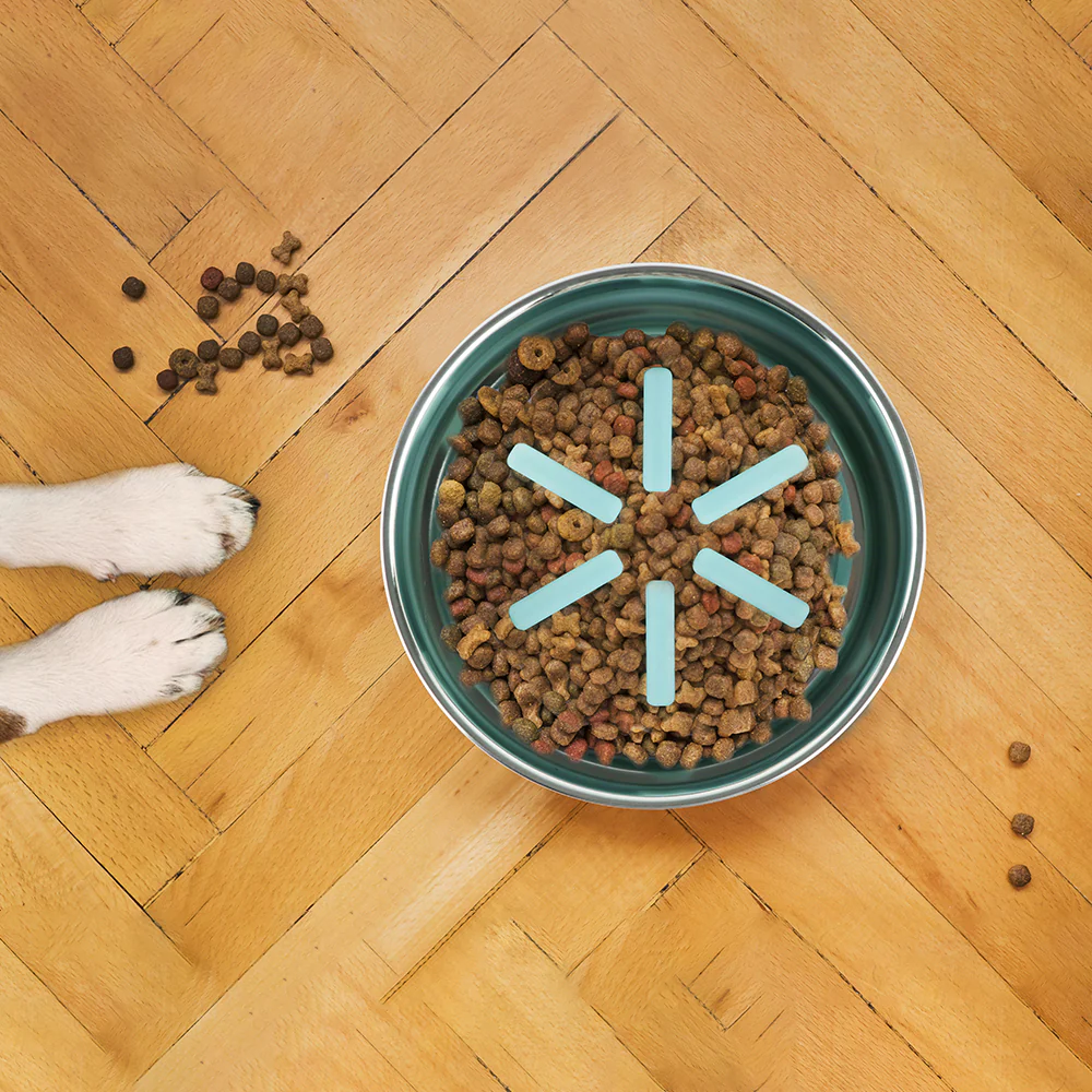 Pawpourri Premium Bowl with Silicone Slow Insert for Dogs and Cats Both-Bowls & Feeders Pawpourri Dropship