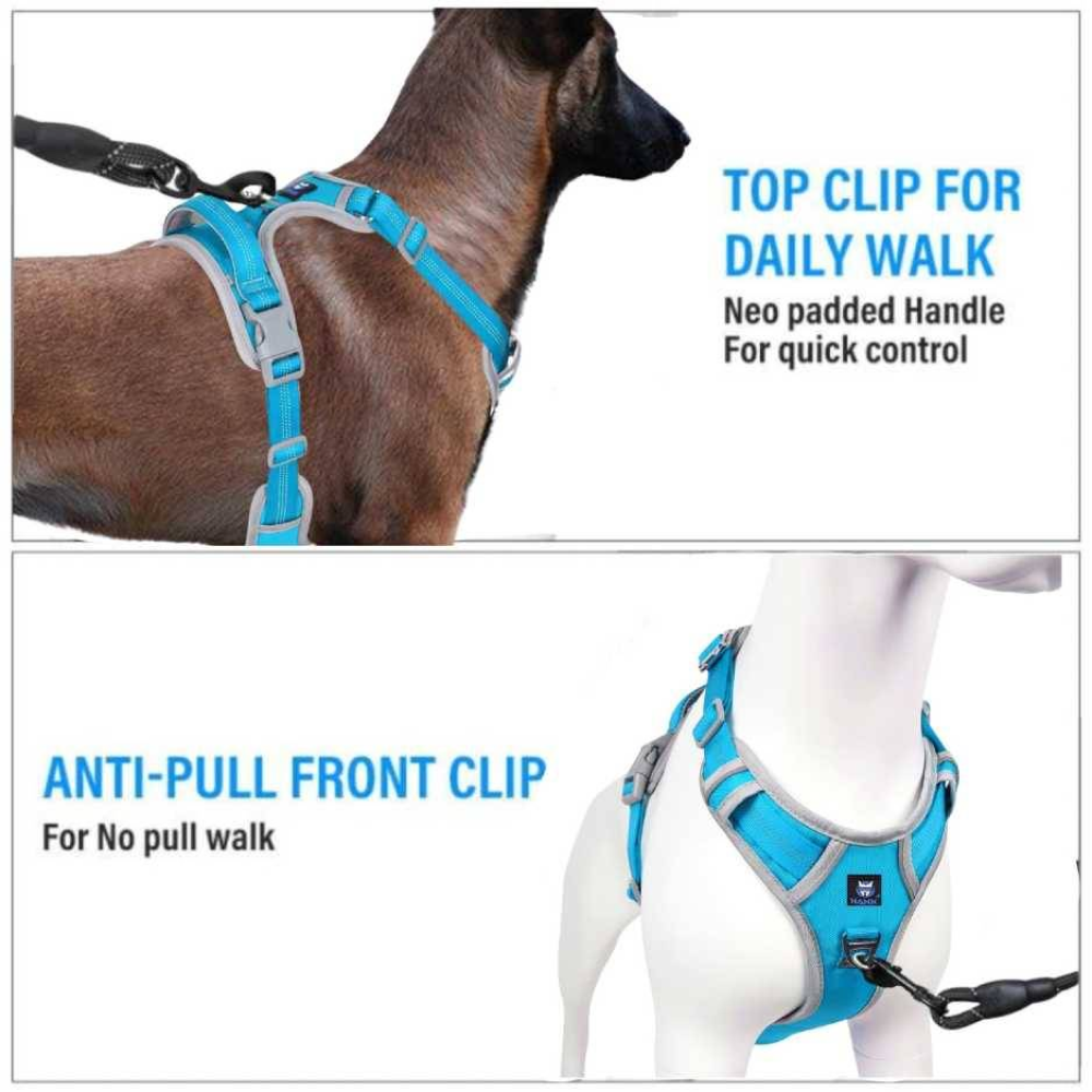 Hank 3M Reflective Harness for Puller Dogs (Grey/Cyan Blue)