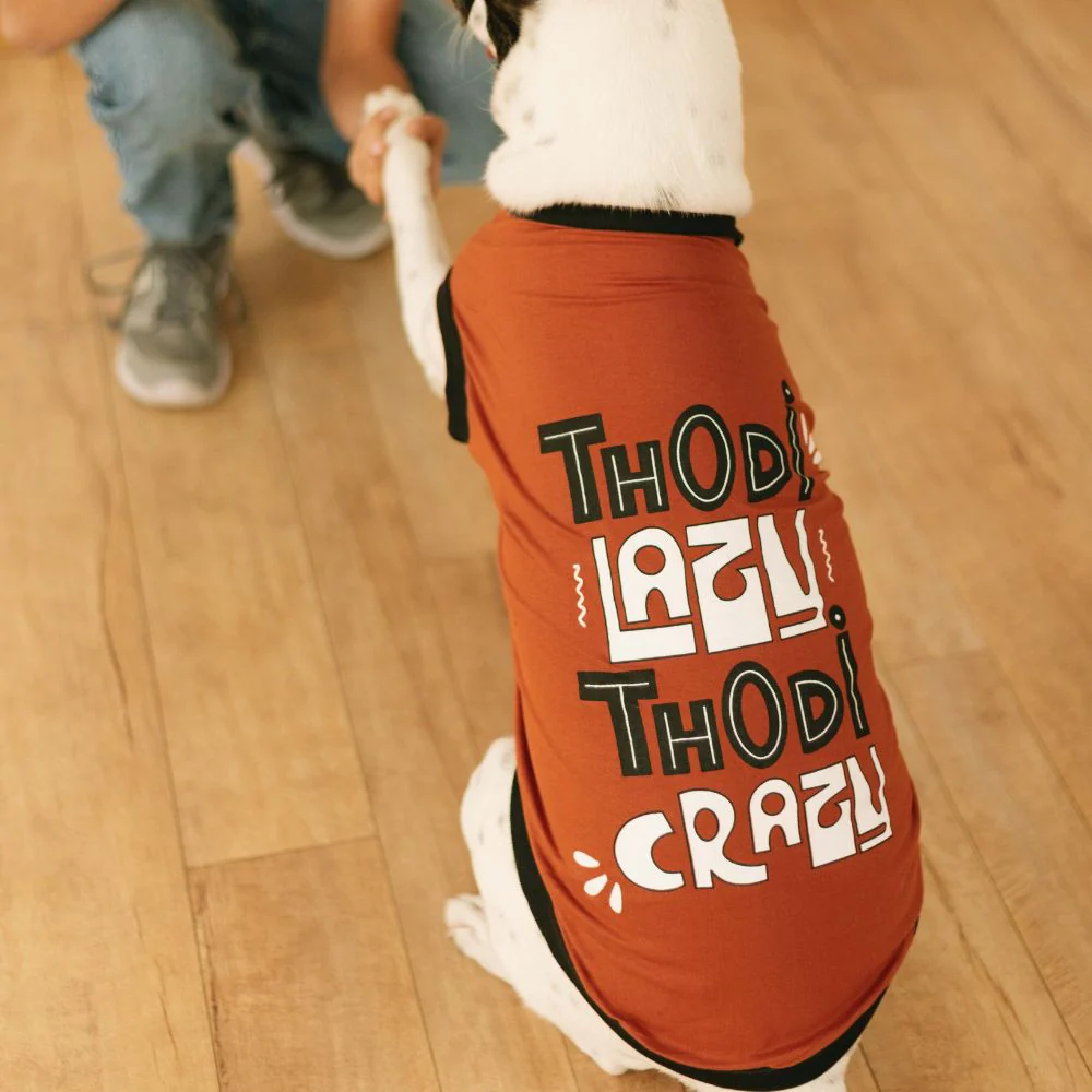 Pet Set Go Thodi Crazy Thodi Lazy T Shirt for Dogs (Brown)