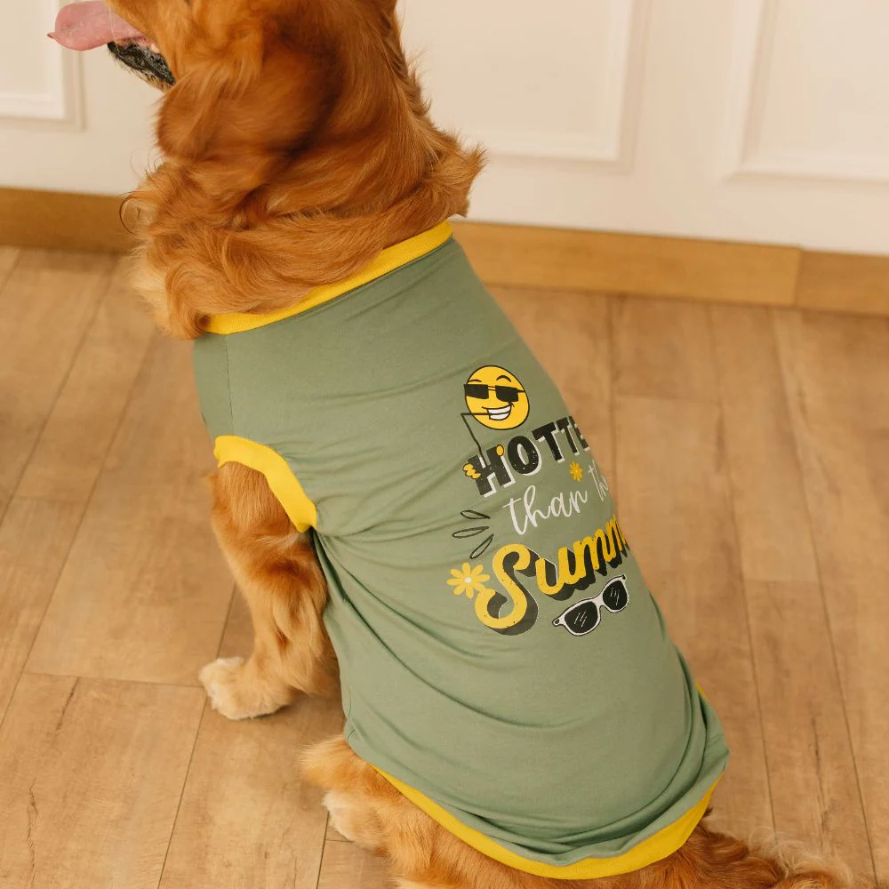 Pet Set Go Hotter Than The Summer Sleeveless T Shirt for Dog (Green)