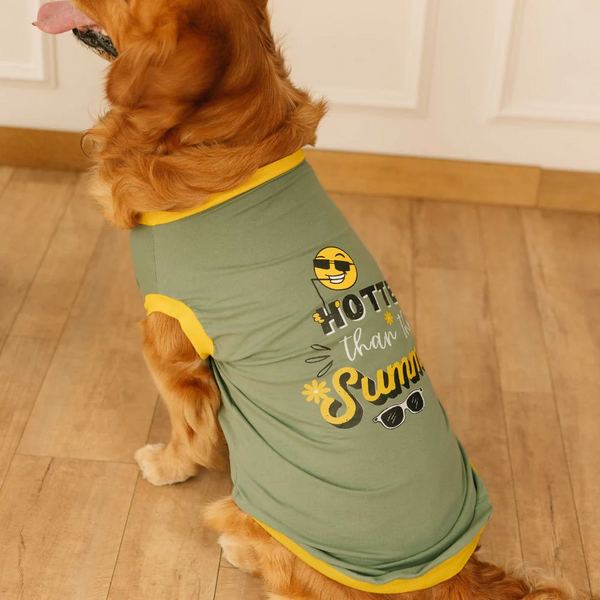 Pet Set Go Hotter Than The Summer Sleeveless T Shirt for Dog (Green)