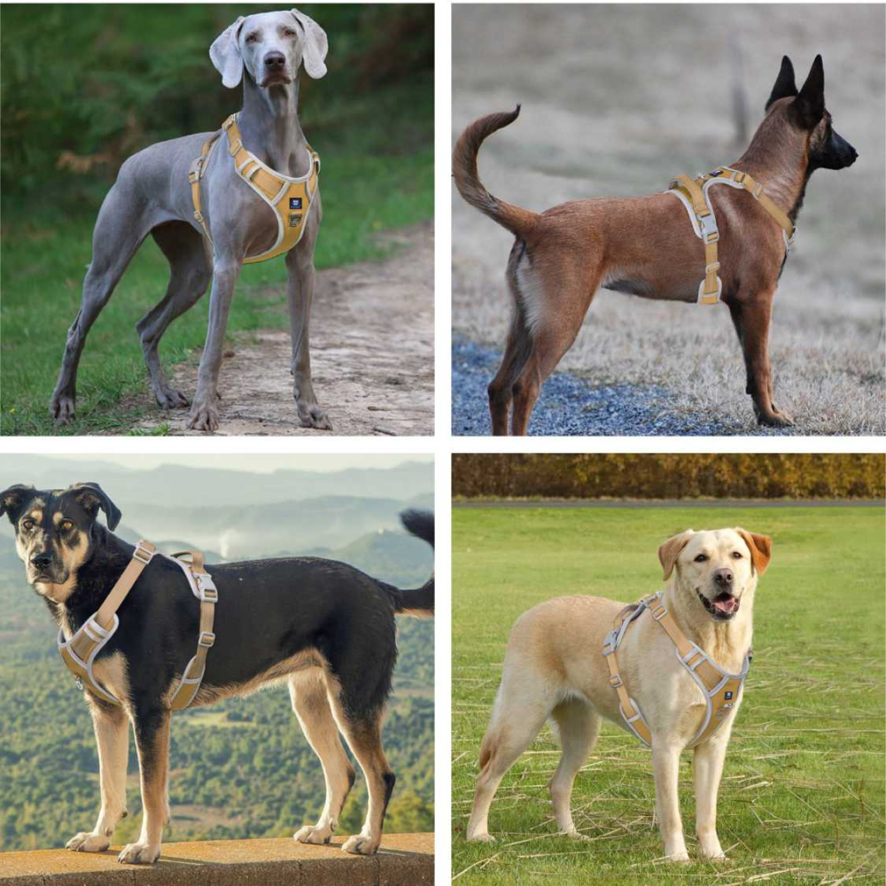 Hank 3M Reflective Harness for Puller Dogs (Grey/Kaki)