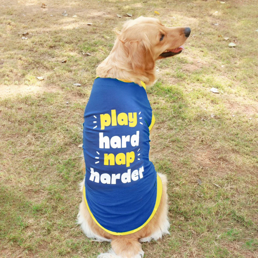 Pet Set Go Play Hard Nap Harder T Shirt for Dogs (Blue)