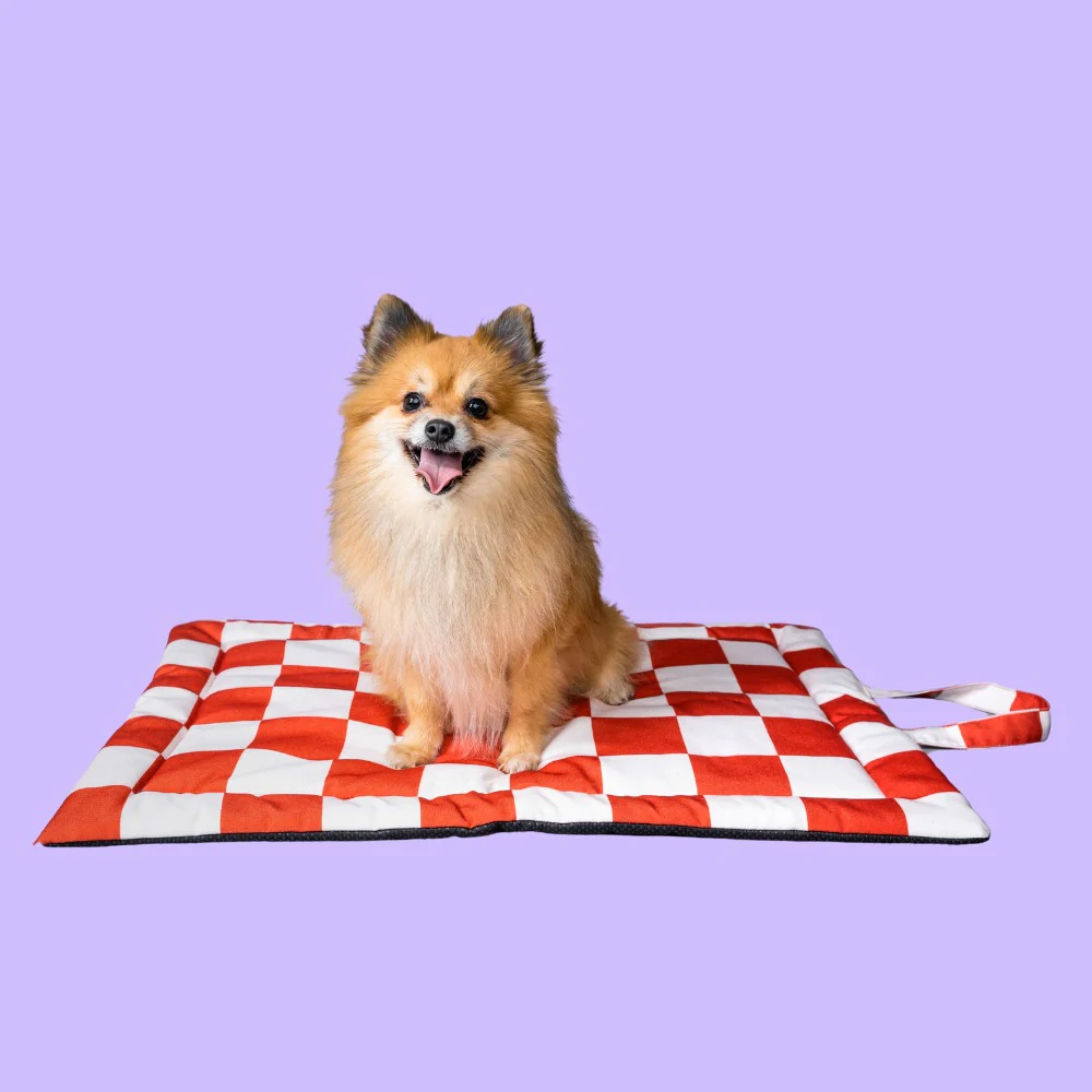 Pet Set Go Cozy Checks Mat for Dogs and Cats (Red)