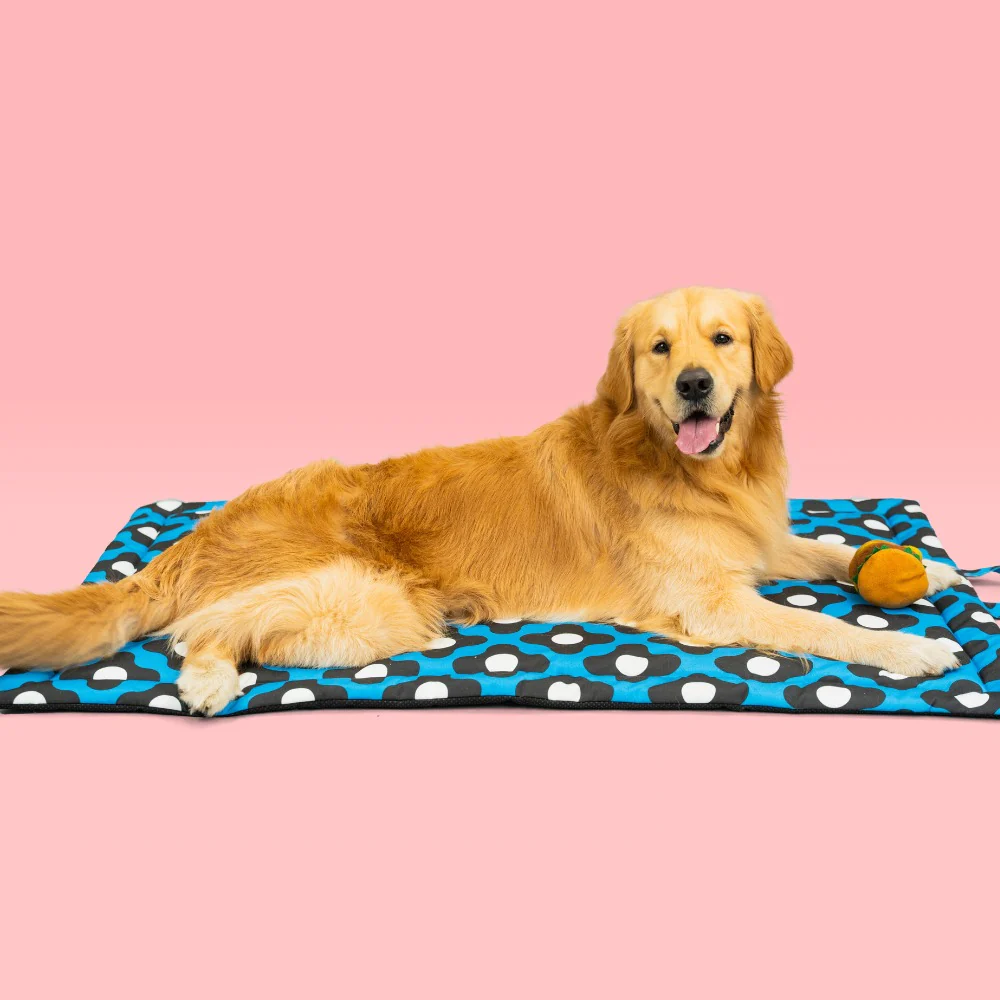 Pet Set Go Bliss Mat for Dogs and Cats (Blue)