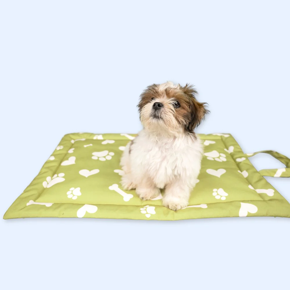 Pet Set Go Paw and Bones Heaven Mat for Dogs and Cats (Green)