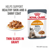 Royal Canin Hair & Skin Care Adult Gravy Cat Wet Food Cats-Wet Food Royal Canin