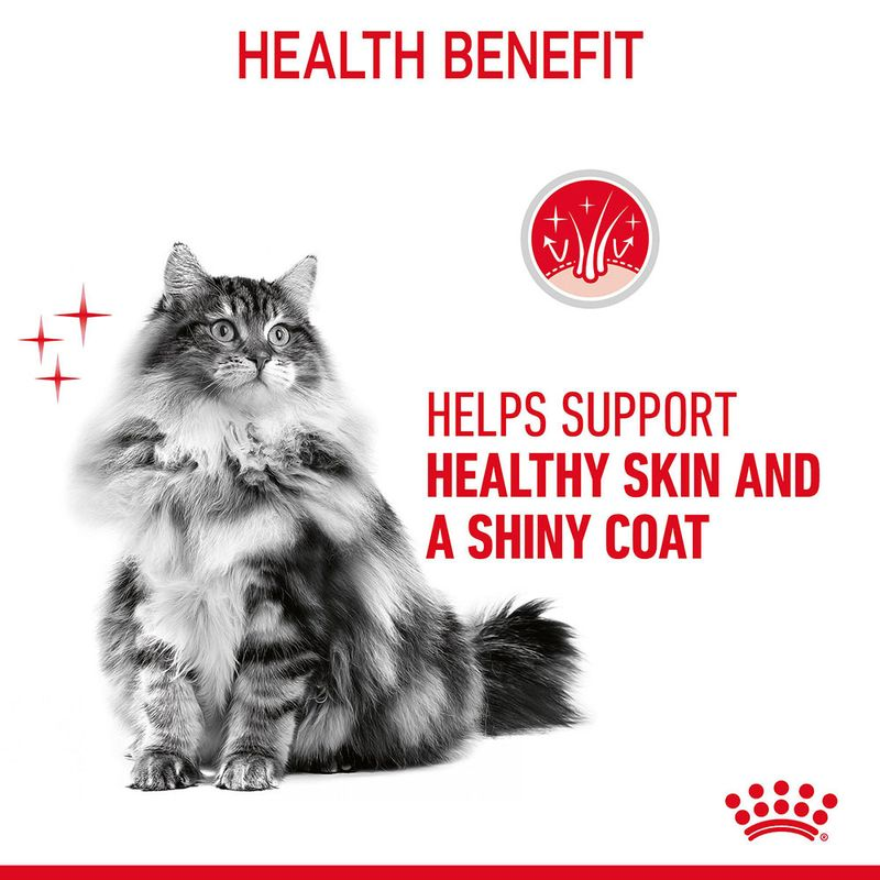 Royal Canin Instinctive Gravy Wet Food and Hair & Skin Care Adult Gravy Cat Wet Food Combo