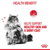 Royal Canin Instinctive Gravy Wet Food and Hair & Skin Care Adult Gravy Cat Wet Food Combo Exclusive Combo Royal Canin