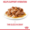Royal Canin Hair & Skin Care Adult Gravy Cat Wet Food Cats-Wet Food Royal Canin