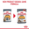 Royal Canin Instinctive Gravy Wet Food and Hair & Skin Care Adult Gravy Cat Wet Food Combo Exclusive Combo Royal Canin
