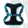 Zoomiez Adjustable Solar Printed Soft Mesh Harness for Cats