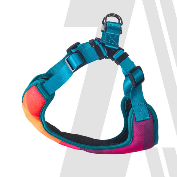 Zoomiez Adjustable Solar Printed Soft Mesh Harness for Cats