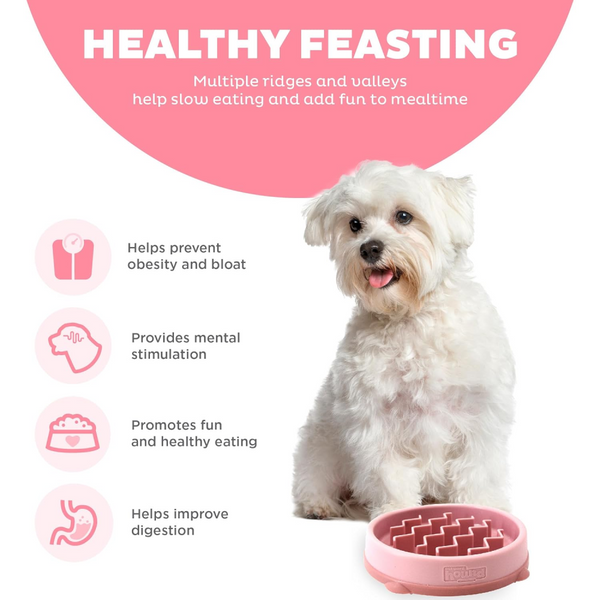 Outward Hound Fun Feeder Slow Feeder Bowl for Dogs (Pink)