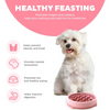 Outward Hound Fun Feeder Slow Feeder Bowl for Dogs (Pink)