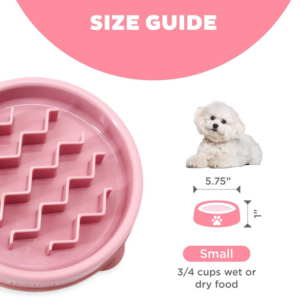 Outward Hound Fun Feeder Slow Feeder Bowl for Dogs (Pink)