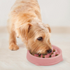 Outward Hound Fun Feeder Slow Feeder Bowl for Dogs (Pink)