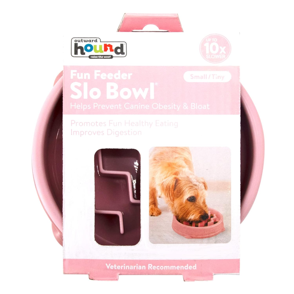 Outward Hound Fun Feeder Slow Feeder Bowl for Dogs (Pink)
