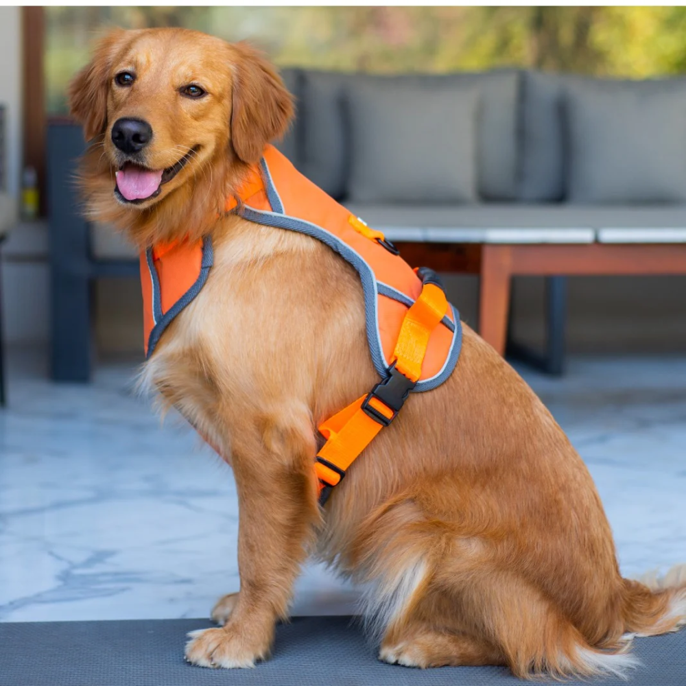 Pawpourri Adjustable Reflective Padded Harness for Dogs (Orange)