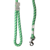 Pawpourri Classic Polyester Rope Leash for Dogs (Green)