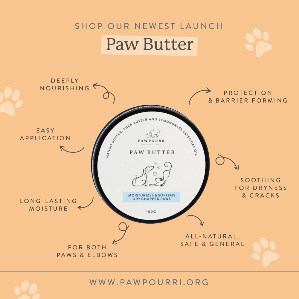 Pawpourri Butter Paw Cream for Dogs and Cats