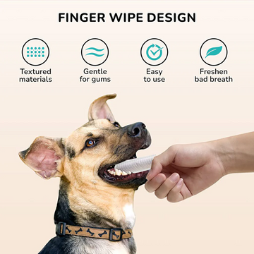 QPets Finger Dental Wipes for Dogs and Cats