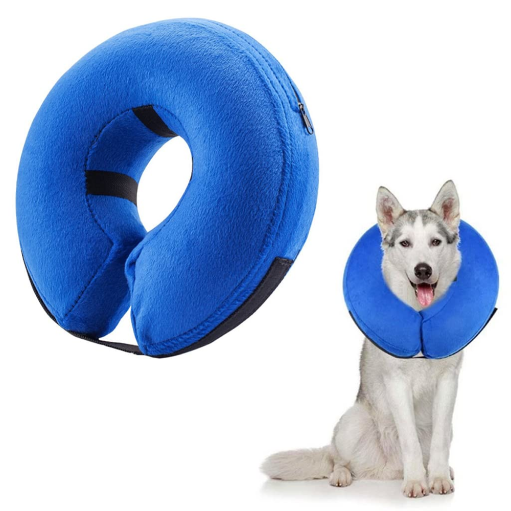 Q Pets Inflatable E Collar for Dogs and Cats (Blue)