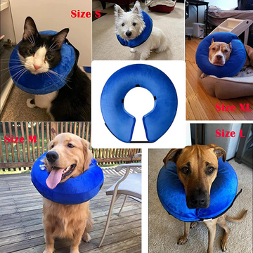 QPets Inflatable E Collar for Dogs and Cats (Blue)