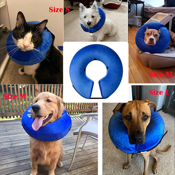 QPets Inflatable E Collar for Dogs and Cats (Blue) Supertails