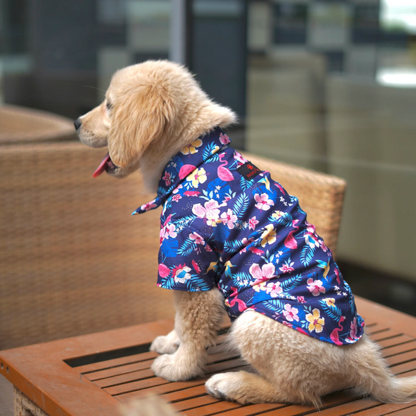 Pawgypets Hawaiian Flamingo Shirt for Dogs (Navy Blue)