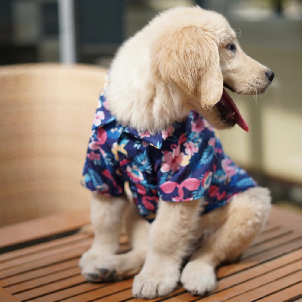 Pawgypets Hawaiian Flamingo Shirt for Dogs (Navy Blue) Dogs-Clothing & Accessories Pawgypets Dropship M