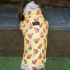 Pawgypets Watermelon Sugar Shirt for Dogs (Yellow)