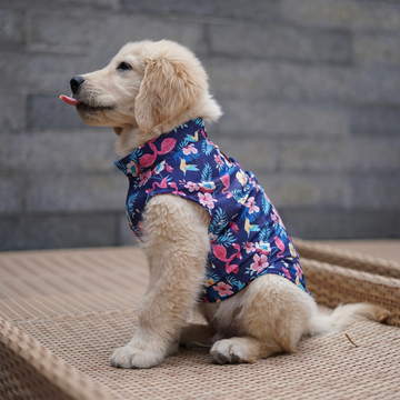 Pawgypets Hawaiian Flamingo Sando for Dogs (Navy Blue)