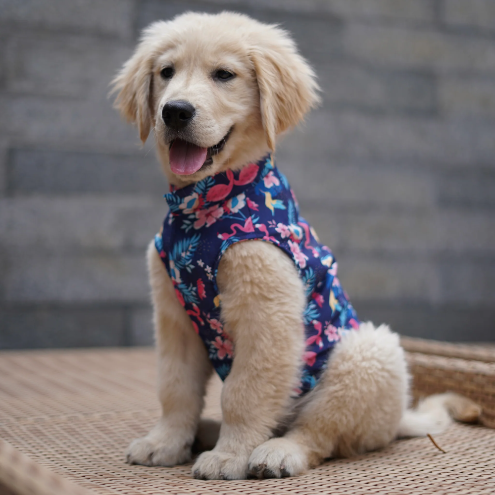Pawgypets Hawaiian Flamingo Sando for Dogs (Navy Blue) Dogs-Clothing & Accessories Pawgypets Dropship L