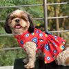 Pawgypets Nazar Na Lage Dress for Dogs (Red) Dogs-Clothing & Accessories Pawgypets Dropship XS