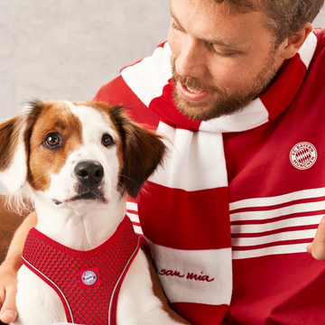 Hunter Hilo Comfort FC Bayern München Harness for Dogs (Red)