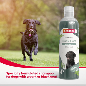 Beaphar Aleo Vera & Herbal Black Coat Shampoo for Dogs