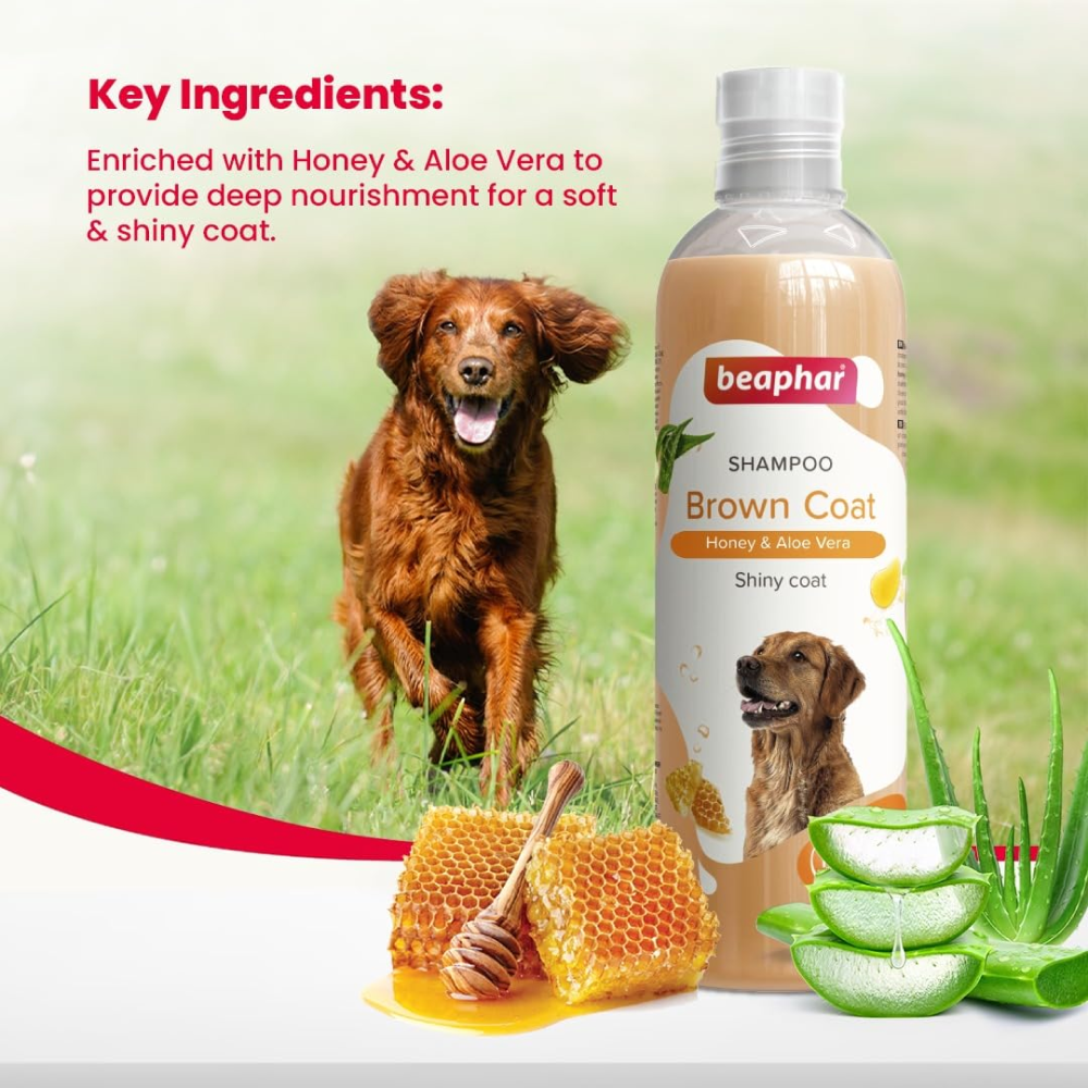 Beaphar Honey & Aloe Vera Herbal Brown Coat Dog Shampoo